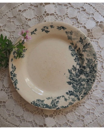 19世紀 Creil Montereau (クレイユ モントロー) リム皿